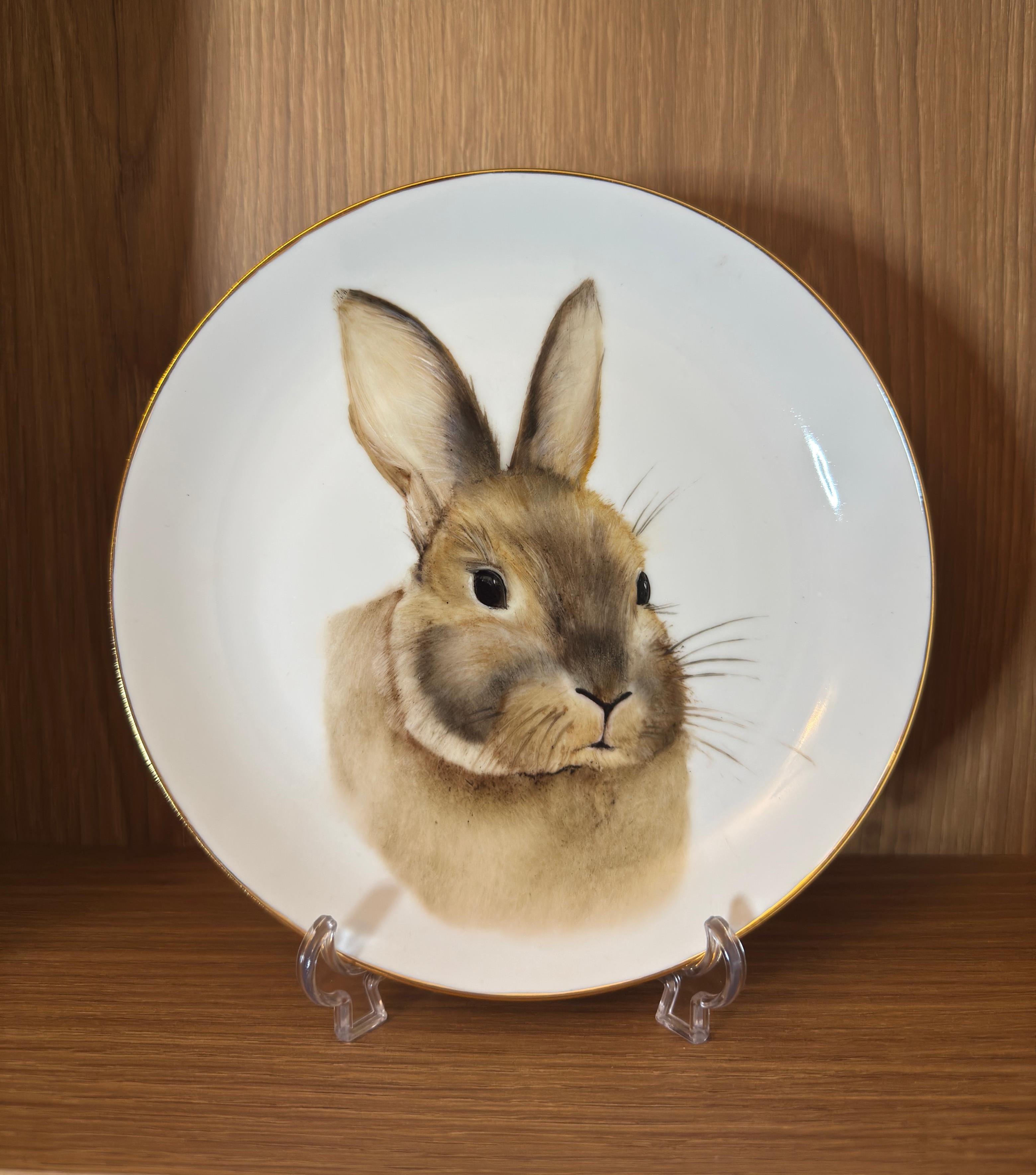 Destaque do produto Prato Pet